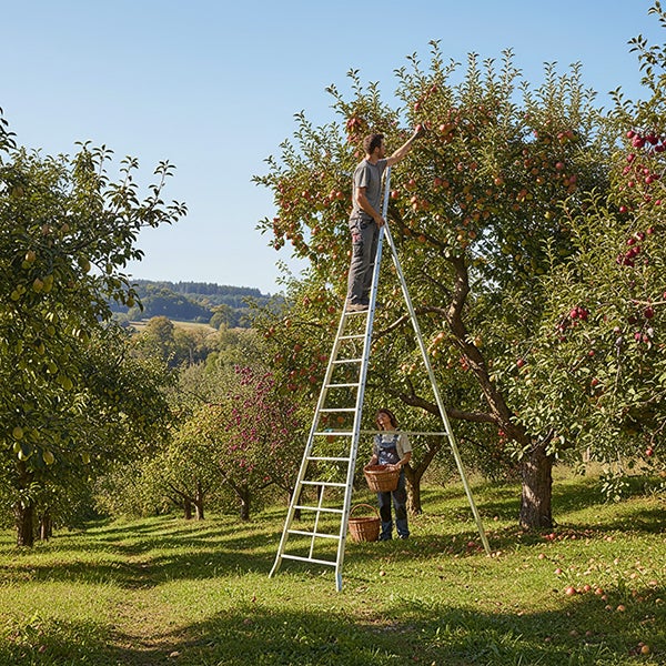 Echelle fruitière 15 barreaux - Hauteur cueillette max. 5.83m - AG500 - 4