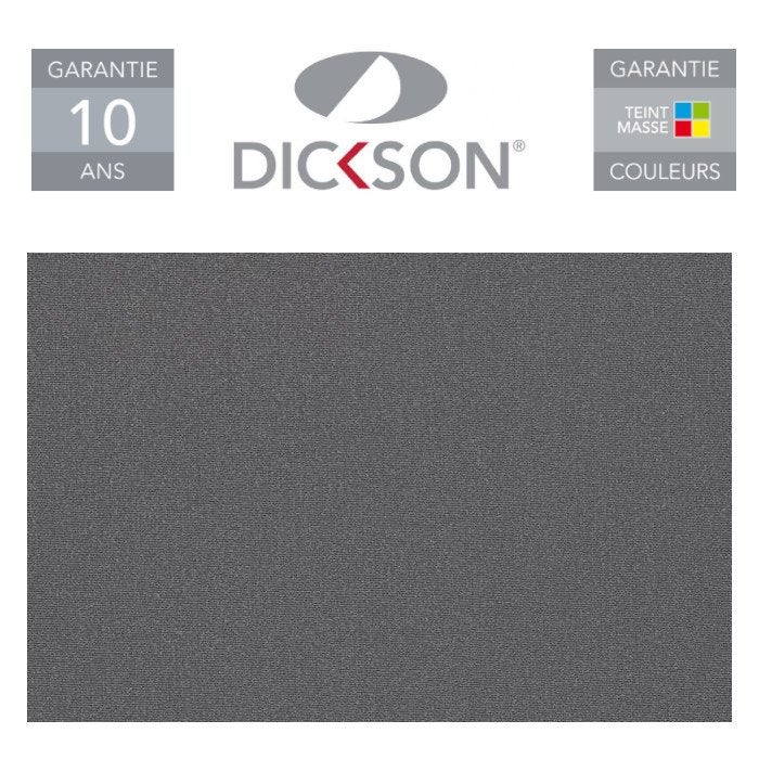 Store de Terrasse Coffre Intégral Solares Motorisé RAL Anthracite 5,4 X 3,5 Toile Dickson® ARDOISE - 5