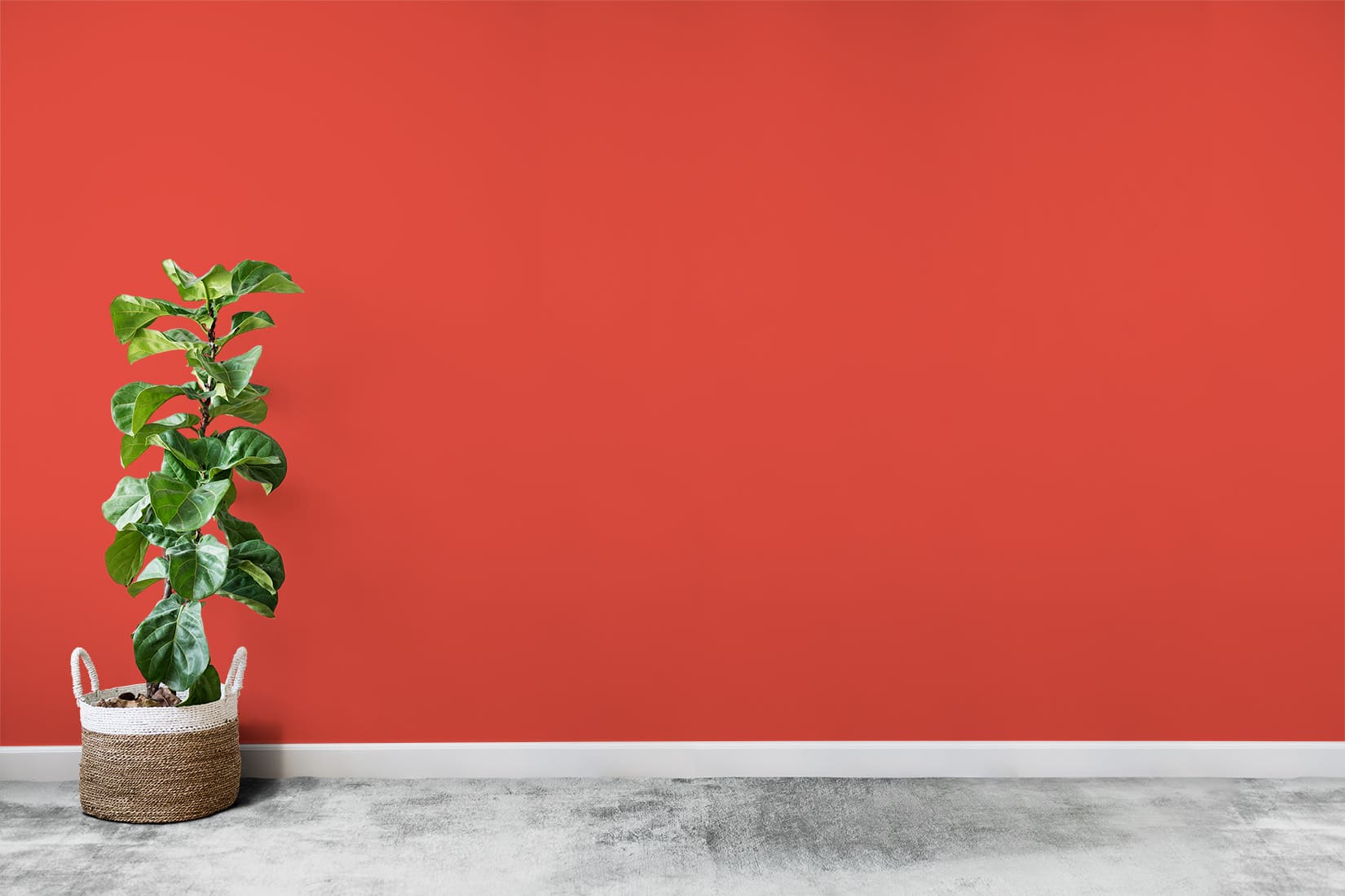 POK SATIN : Peinture Satin Lessivable Rouge feu 100m² - 10L - 3