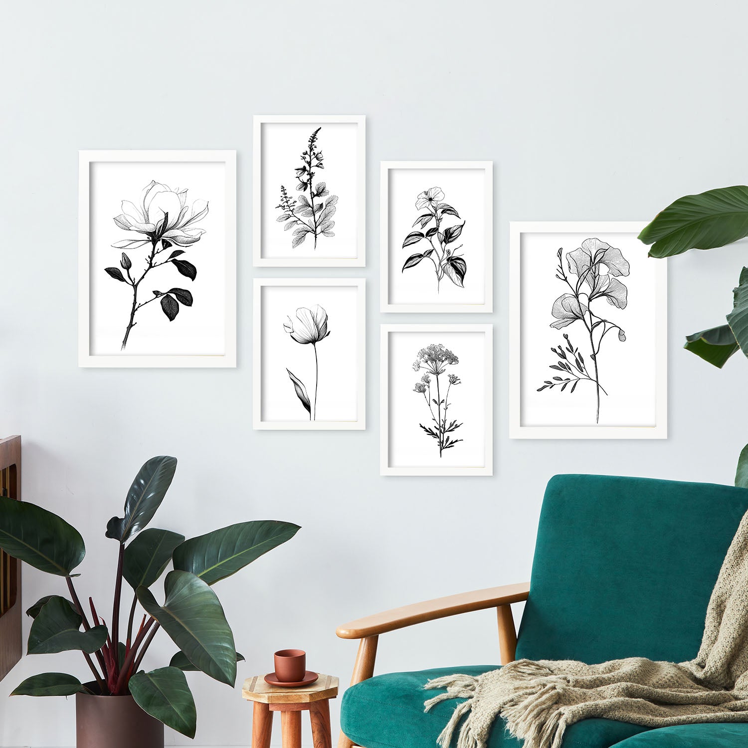 Posters de flores llamativas ilustraciones en blanco y negro de naturaleza y botánica con temas florales diseño moderno para la a4 & a3 sin marco