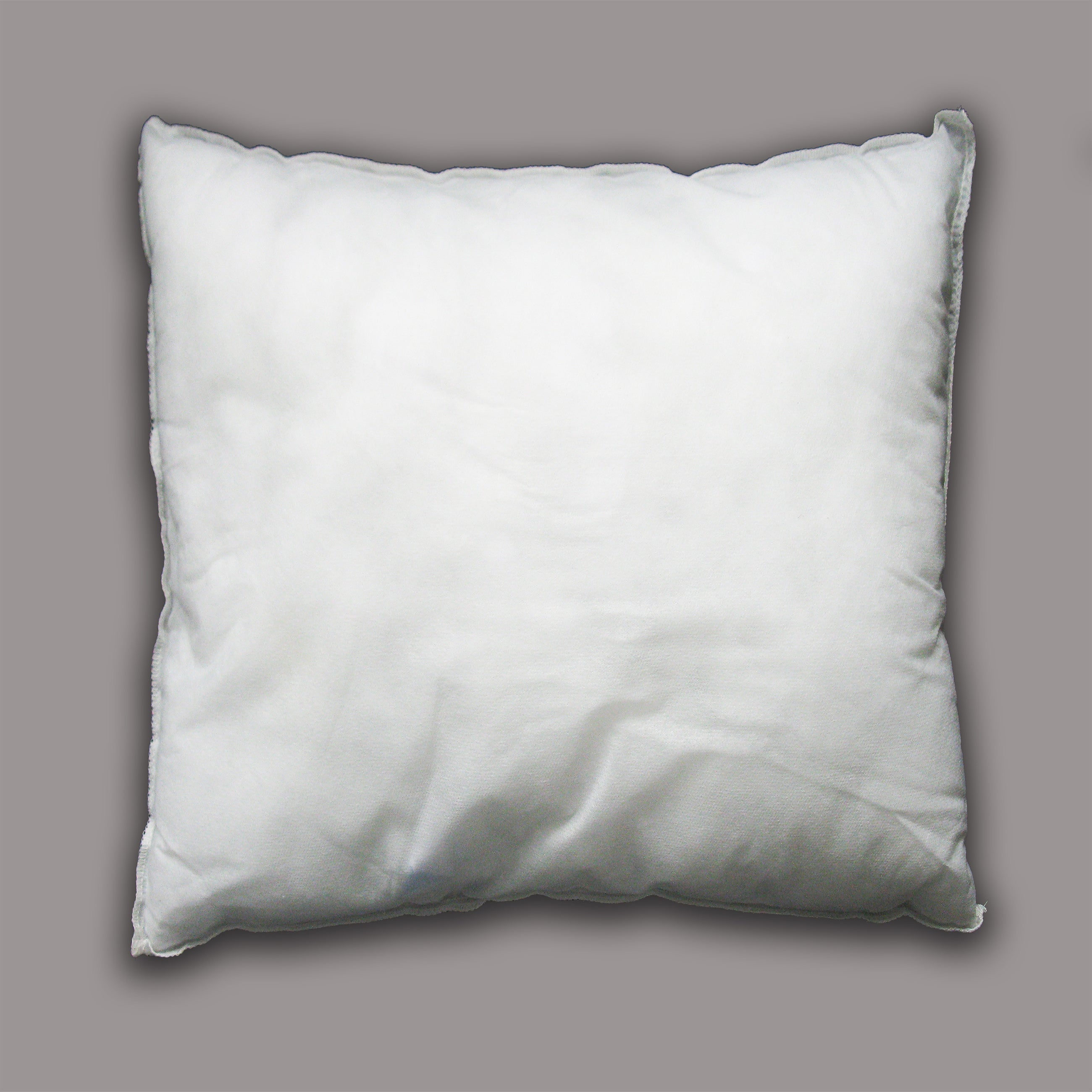 Elbersdrucke Remplissage de coussins Rembourrage de plumes blanc pour
