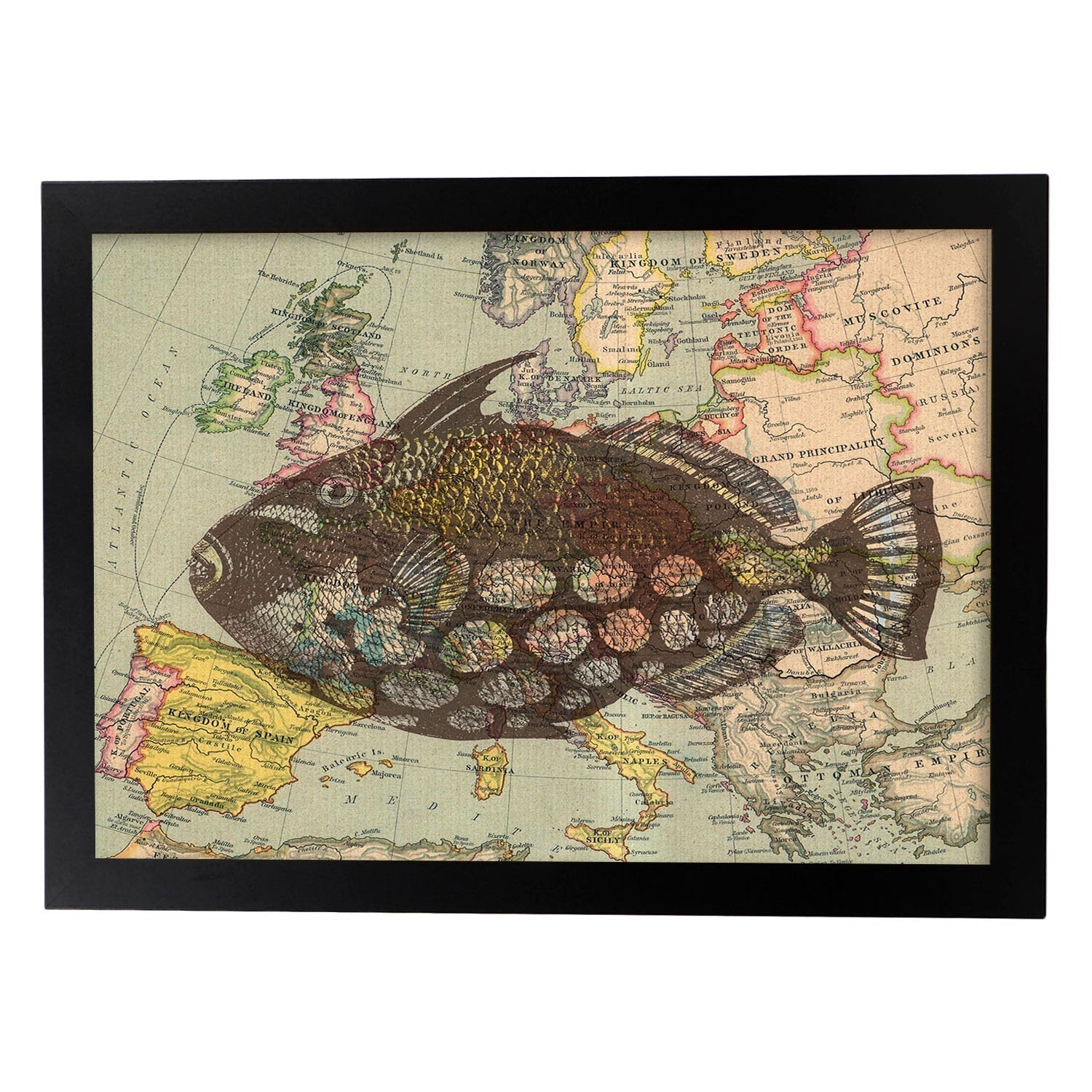 Lot De Cartes Photos Poisson Encadrées – Déco Homme Grotte / Pêcheur – Cadre Bois