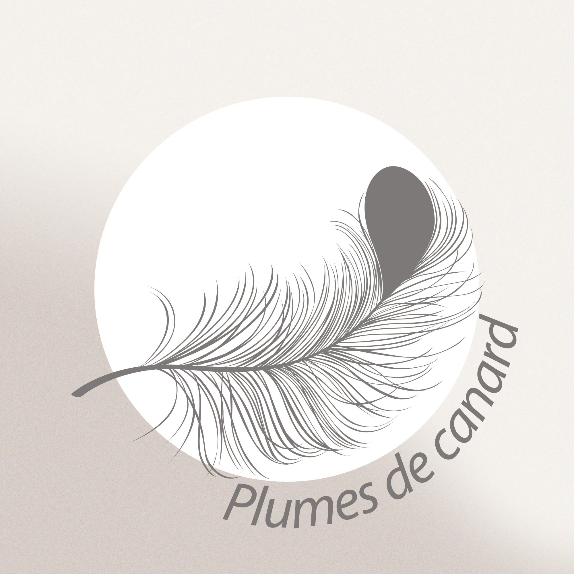Coussin à recouvrir 45x45 cm garnissage 100% Plumettes de canards coussin Plumes - 8