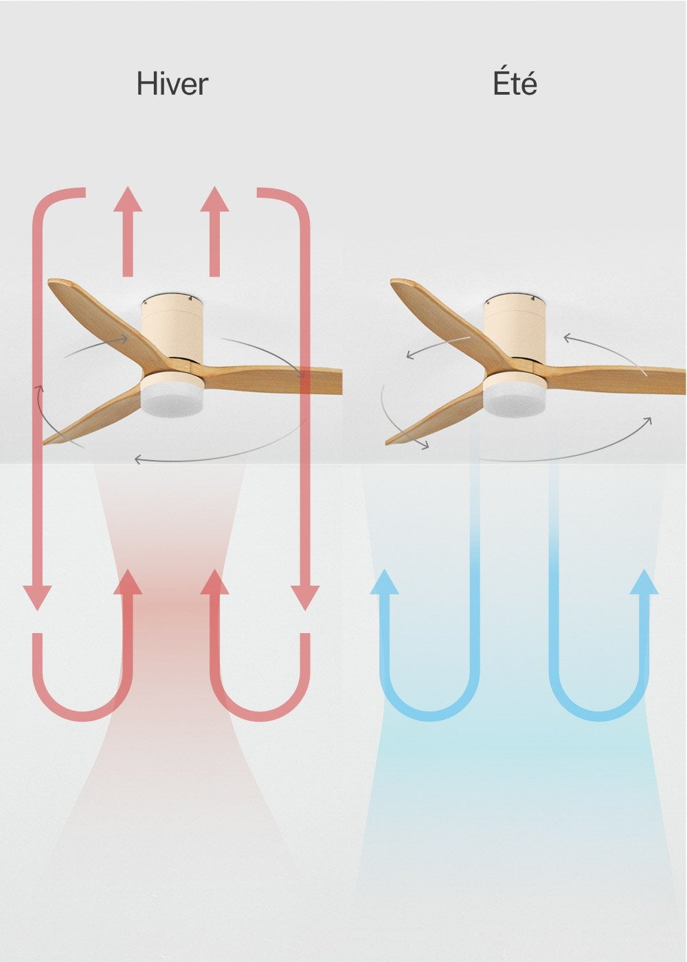 WIND CALM M - Ventilador de teto silencioso de 40 W com pás técnicas em ABS de vários tamanhos - Com luz - sem wifi - 4