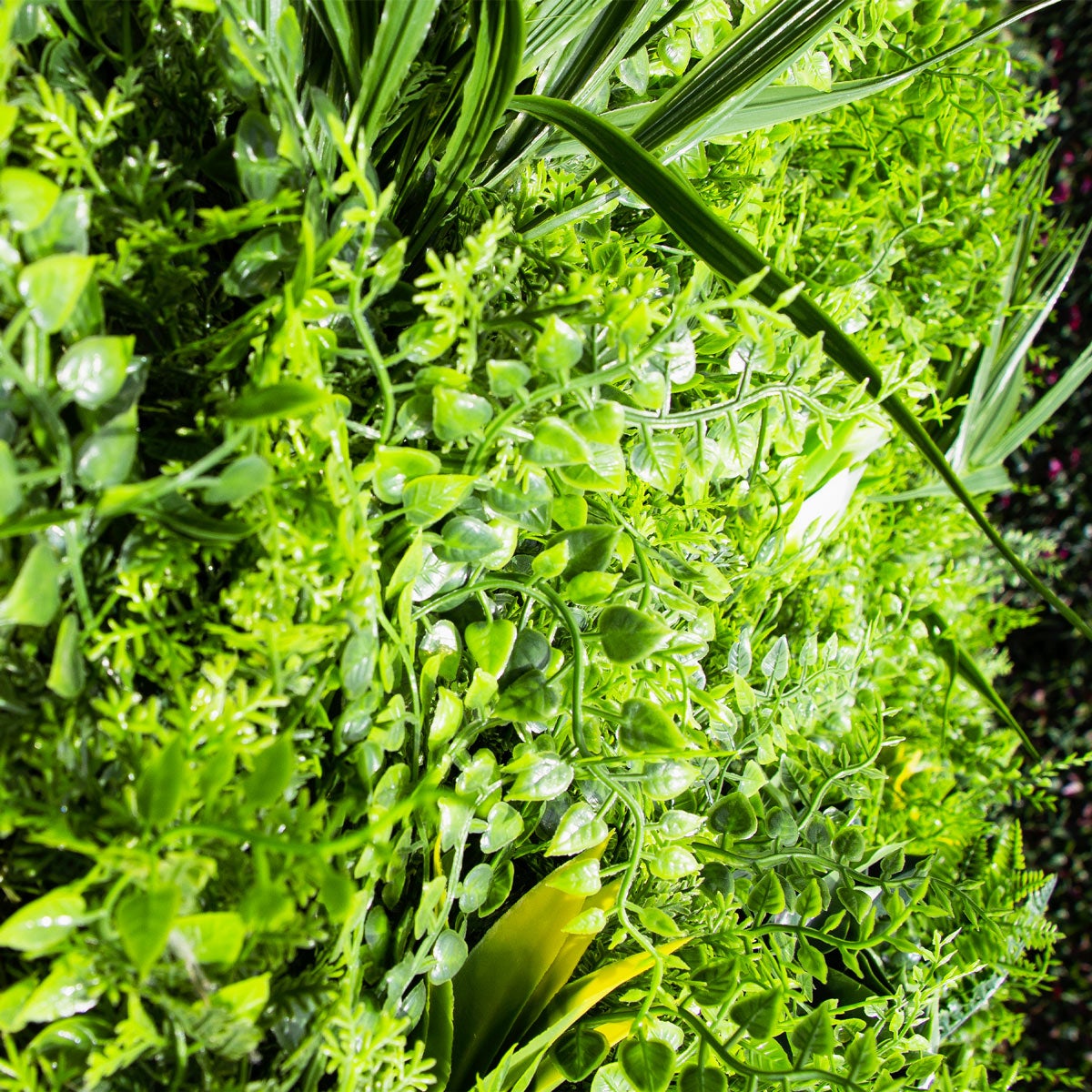 LOT de 5M² Mur Vegetal Artificiel Fougère Dense MGS décoration murale - 3