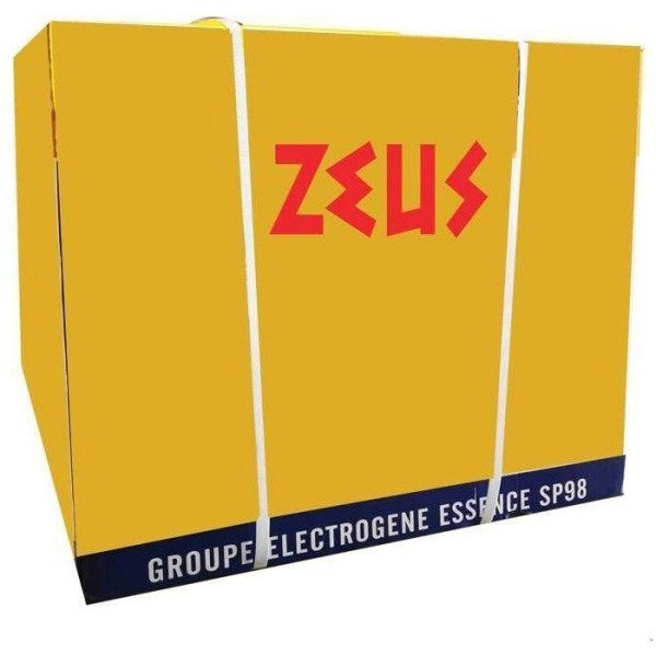 Groupe électrogène 2400 W essence - 4