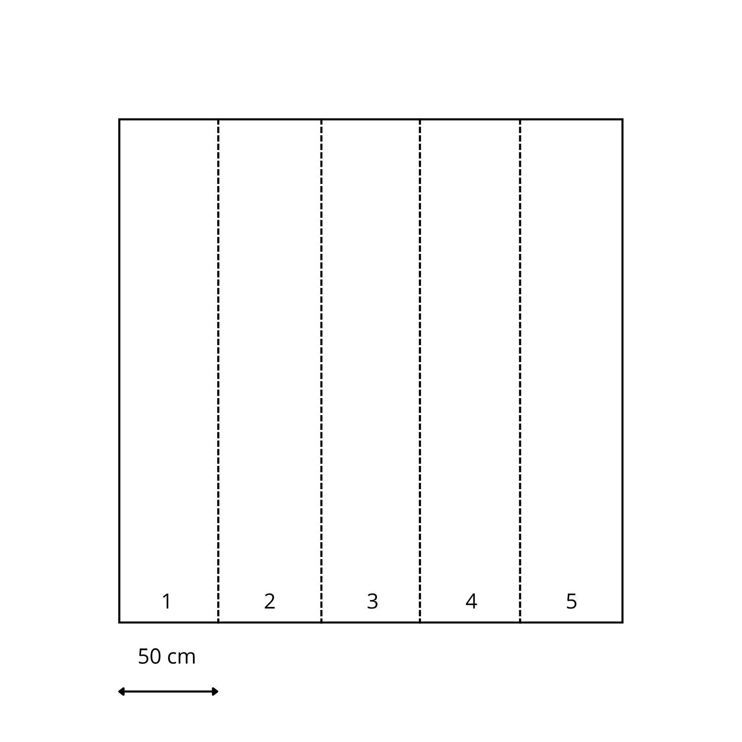 Fototapeta zwierzęta dżungli czarno-białym - 250 x 279 cm - ESTAHOME - 7