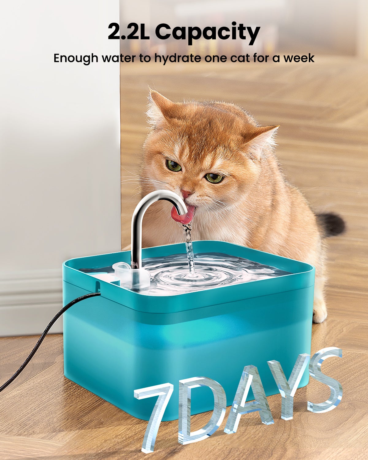 2,2L Fontaine à Eau pour Chat, Super Silencieuse, Facile à Mettoyer, Fontaine a Eau avec LED, Convient à Plusieurs Animaux de Compagnie (Vert) - 7