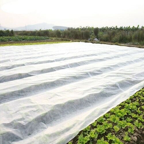 Tessuto Non Tessuto Invernale Per Piante 1,1m X 100m – Protezione Antigelo 17g/m², Traspirante E Resistente Ai Raggi UV