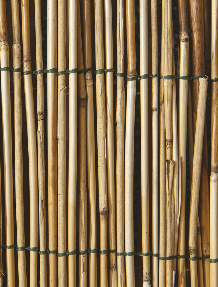 Arella con Cannette Bamboo Canniccio Ombreggiante Recinzione Giardino 2 x 3 mt - 2