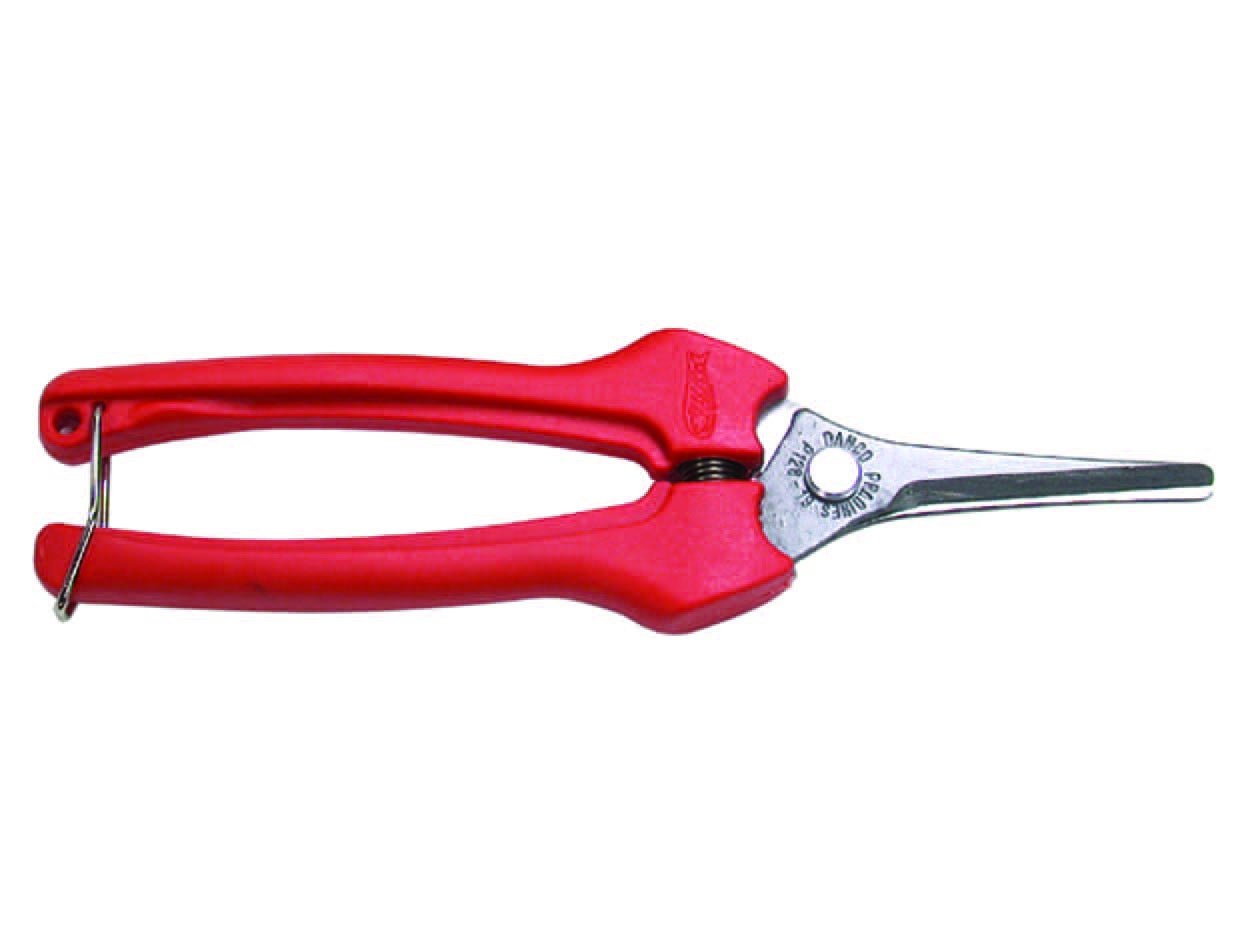 FORBICI POTA FORBICE POTATURA RACCOGLI FRUTTA ASPARAGI ASTA LUNGA 75cm - Foto 9