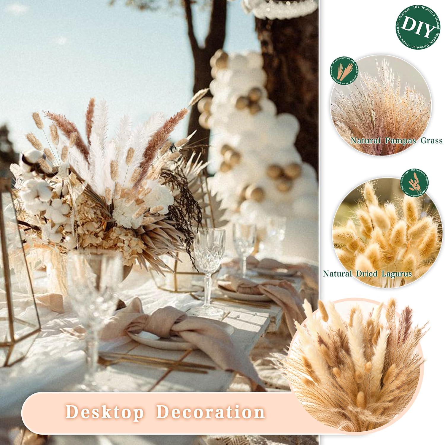 Décoration de la Pampas Séchée - 110 pièces Fleurs Séchées Naturelles, Fleurs séchées de Queue Lapin, Bouquet de Roseaux Dried Flowers - 5