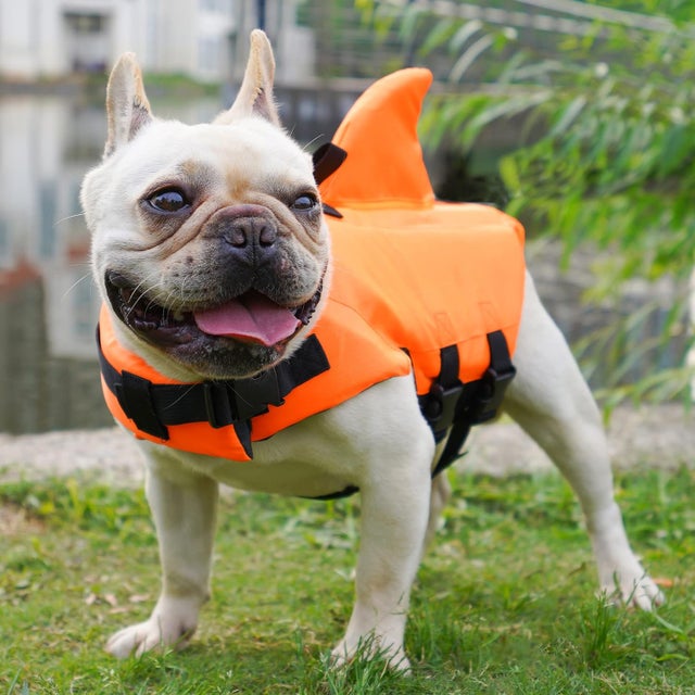 Colete salva-vidas para cães, colete de segurança, boia salva-vidas para piscina de cães, roupa de banho (XS, laranja)