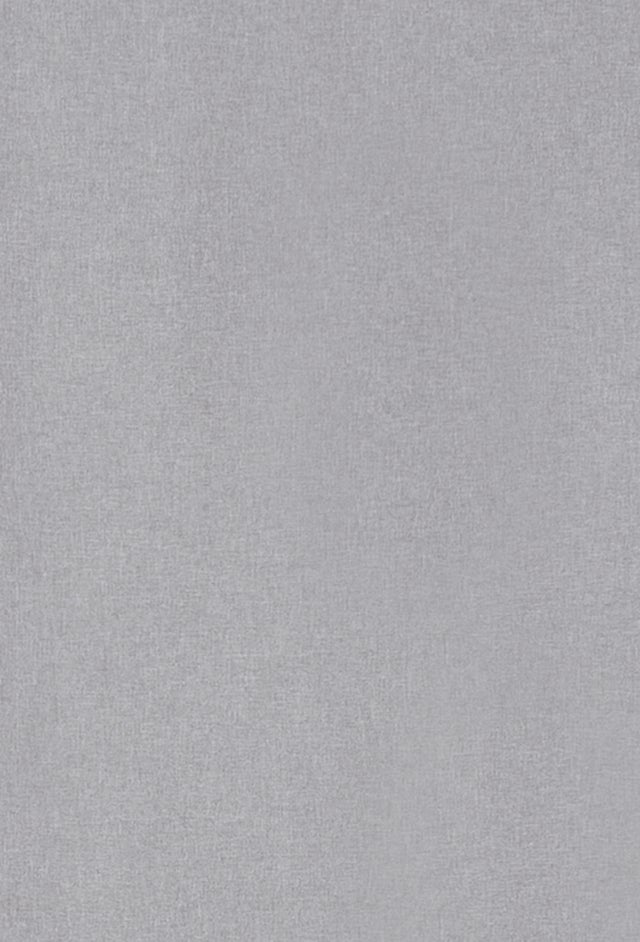 Elbersdrucke Rideau coulissant opaque Lino gris 245 x 60 cm Rideau à panneaux pour salon chambre couloir 190286