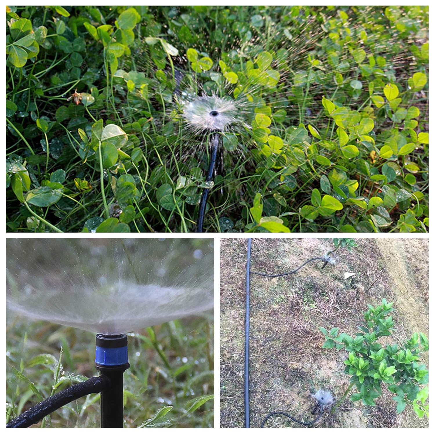 Goutteur d'irrigation, micro-arroseur réglable à 360 degrés, pour l'irrigation de la pelouse de serre, 100 pièces (bleu). - 7