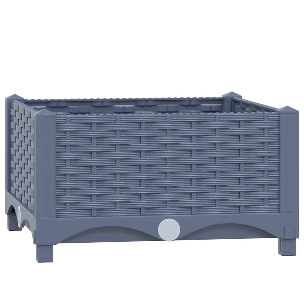 Rectangulaire