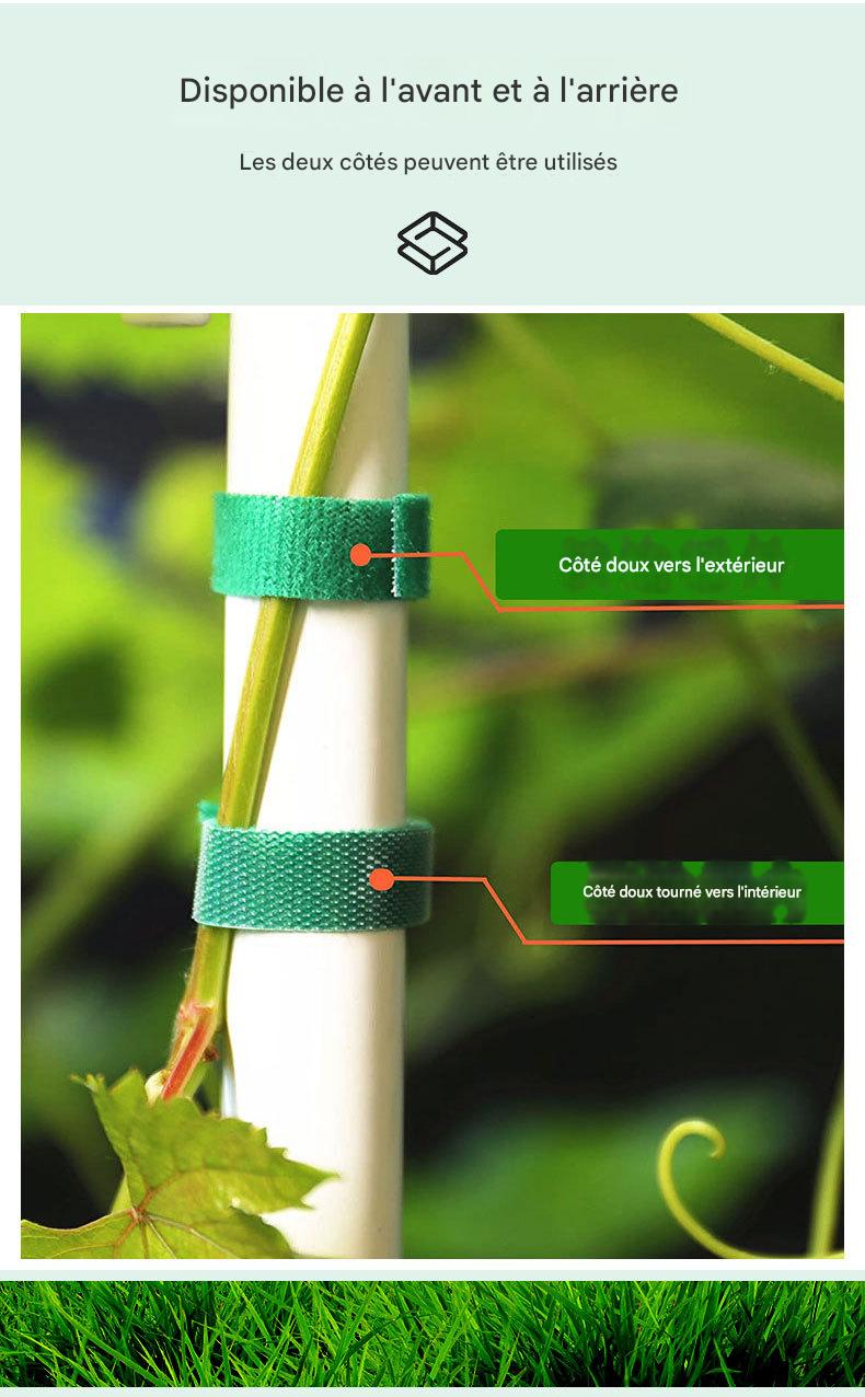Lot de 4 sangles Velcro vertes de 25 mm x 2 mètres pour fixation de plantes - 5