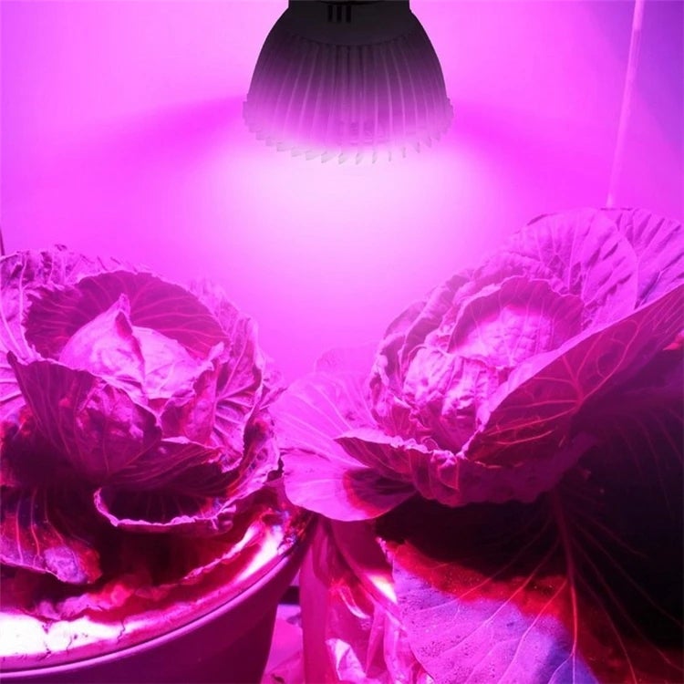 2pcs 28LED Full Spectrum Grow Light E27 lâmpada para plantas lâmpadas de plantas de interior - 3