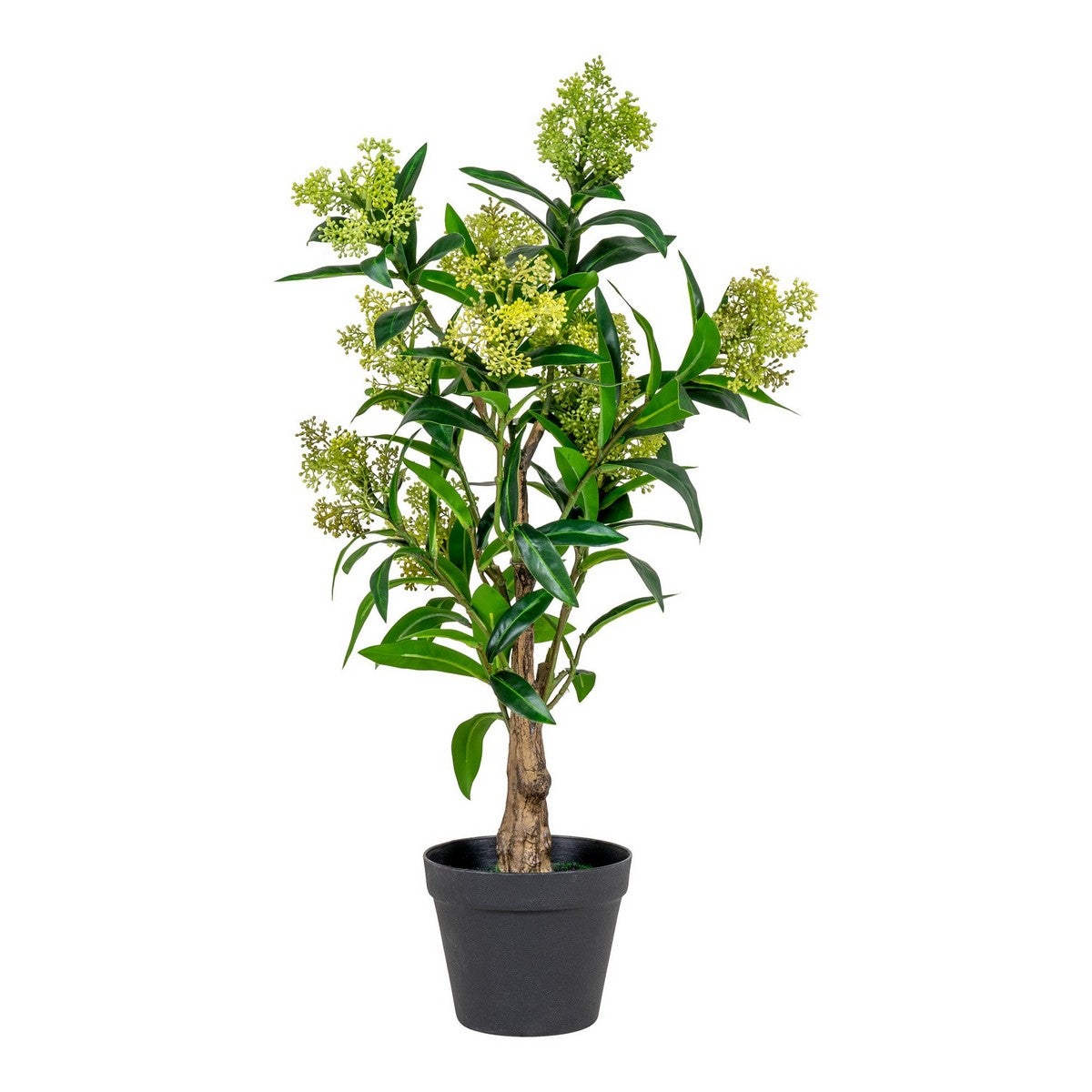 Sztuczna Roślina Skimmia, Polietylen, Zielony, Seven Design