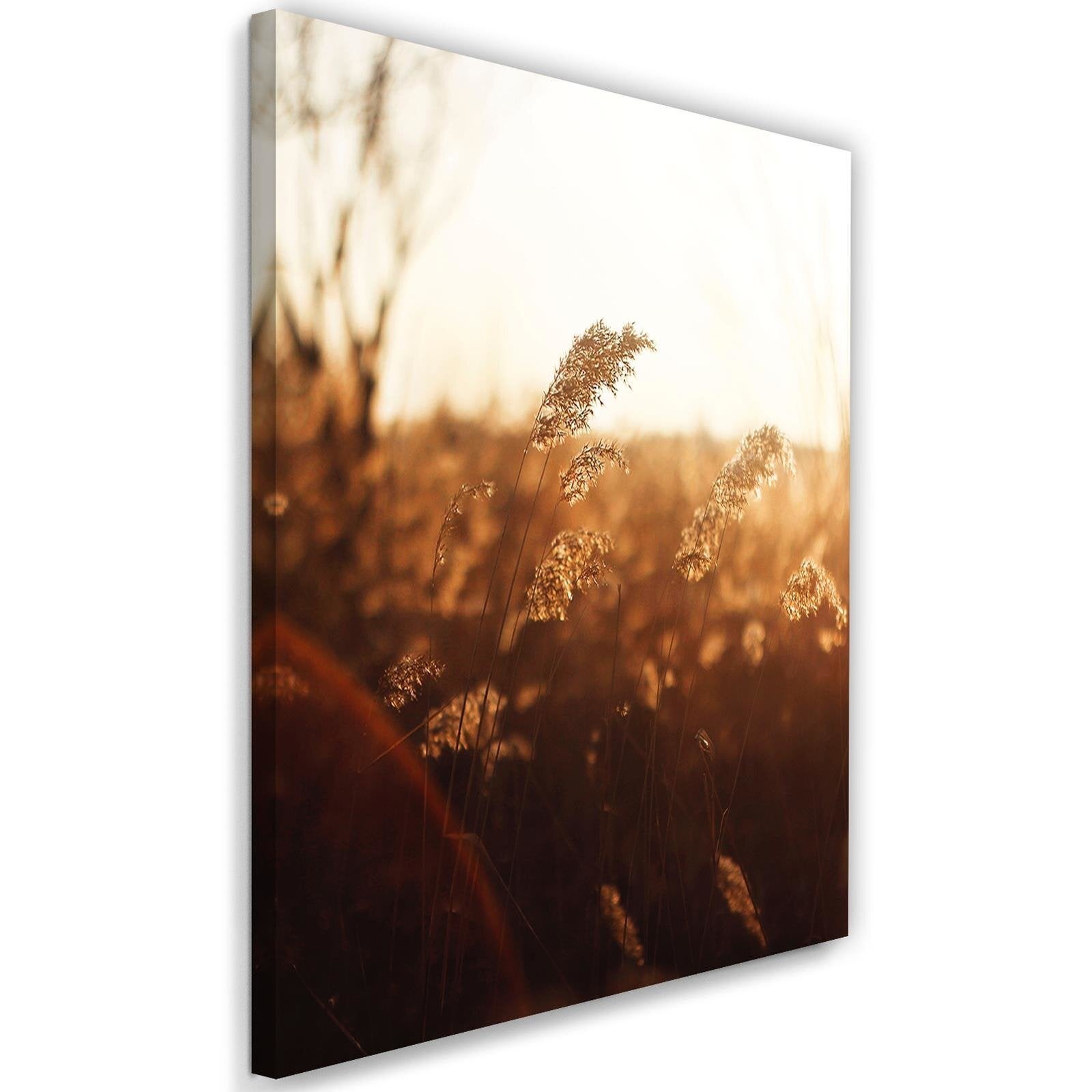 Obraz, Łąka w słońcu 40x60