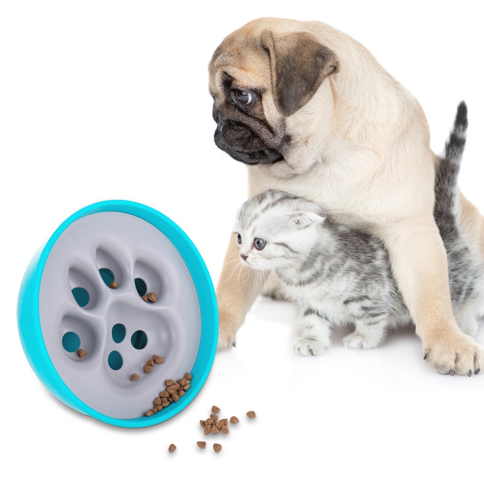 Distributore di cibo per animali con fori per animali domestici - 3