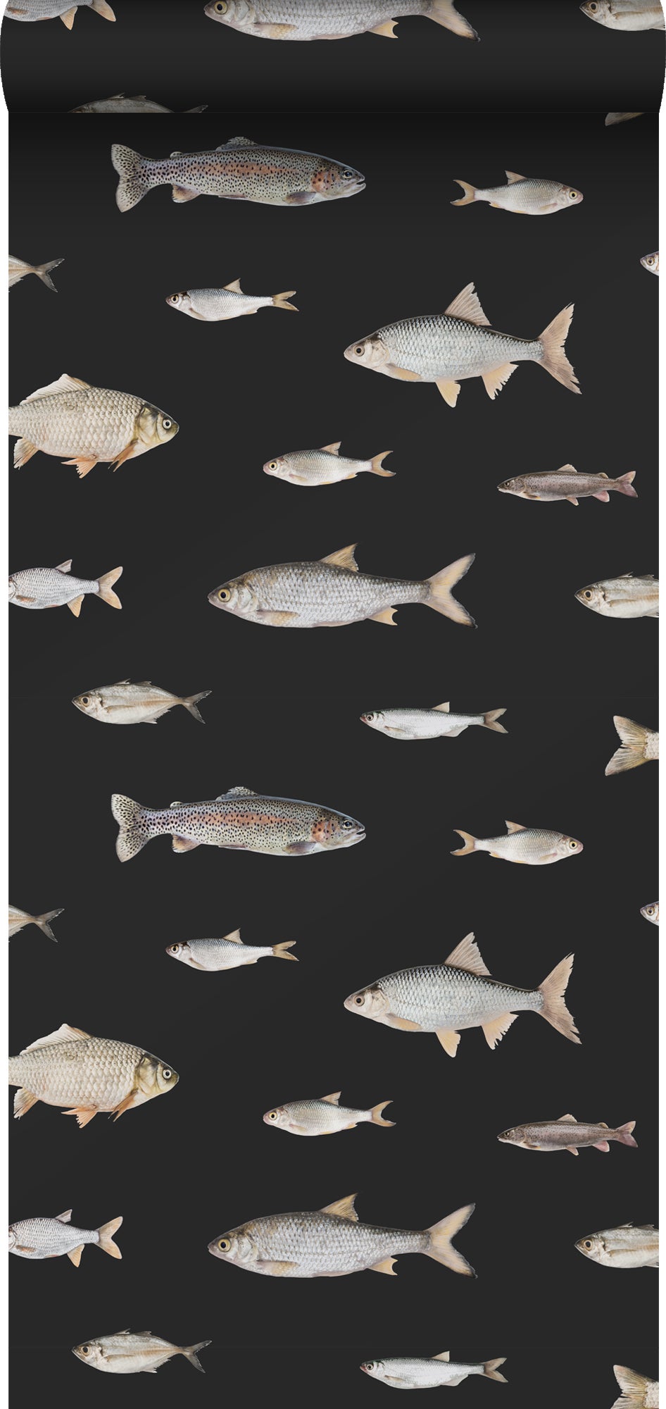 Tapeta Wędkarstwo czarnymIszarym - 50 x 900 cm - ESTAHOME