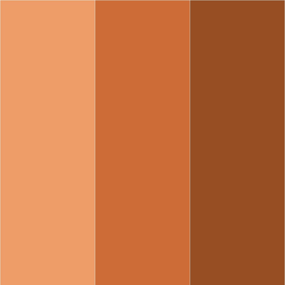 Pigmento in polvere di malle nei colori della terra provenzale 250 ml - 2
