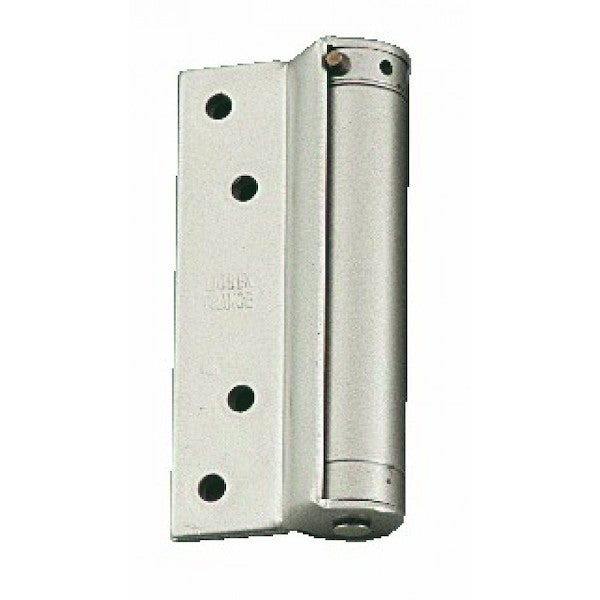 Charnière à ressort simple action LIOBEX Compact - Groom - N°1