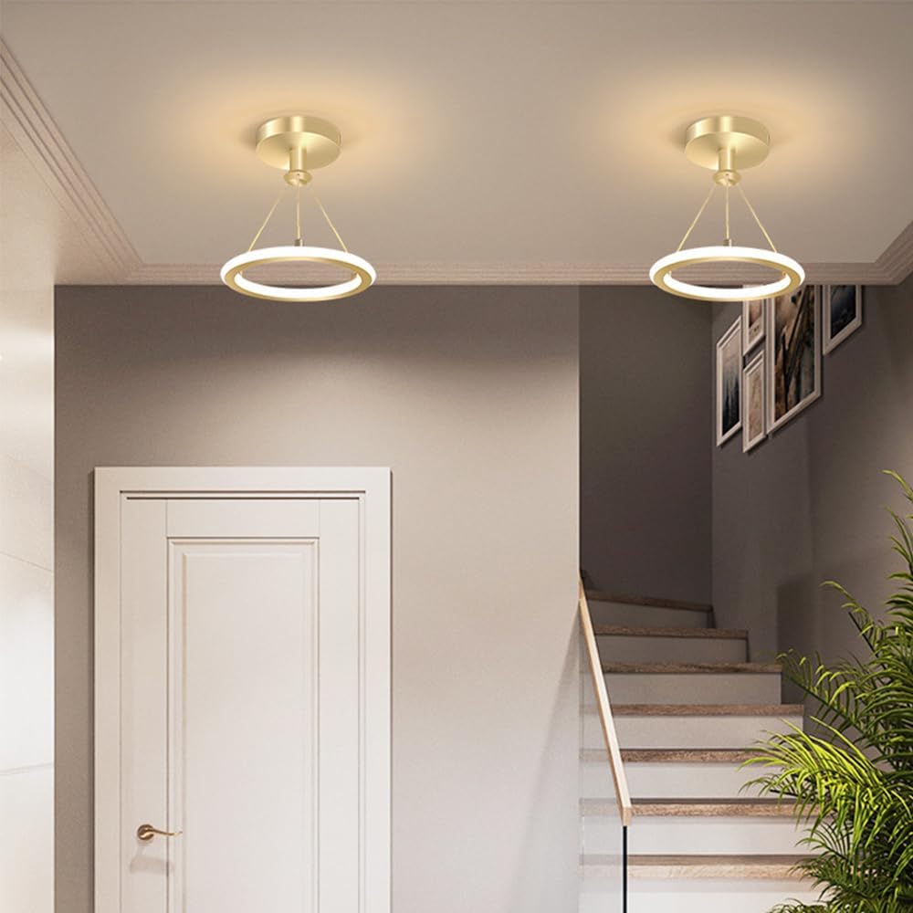 Lustre suspendu 19W,luminaires de lustre LED modernes variable 3 température de couleur 3000K/4500K/6500K,lustres à plafond,salle à manger(or) - 3