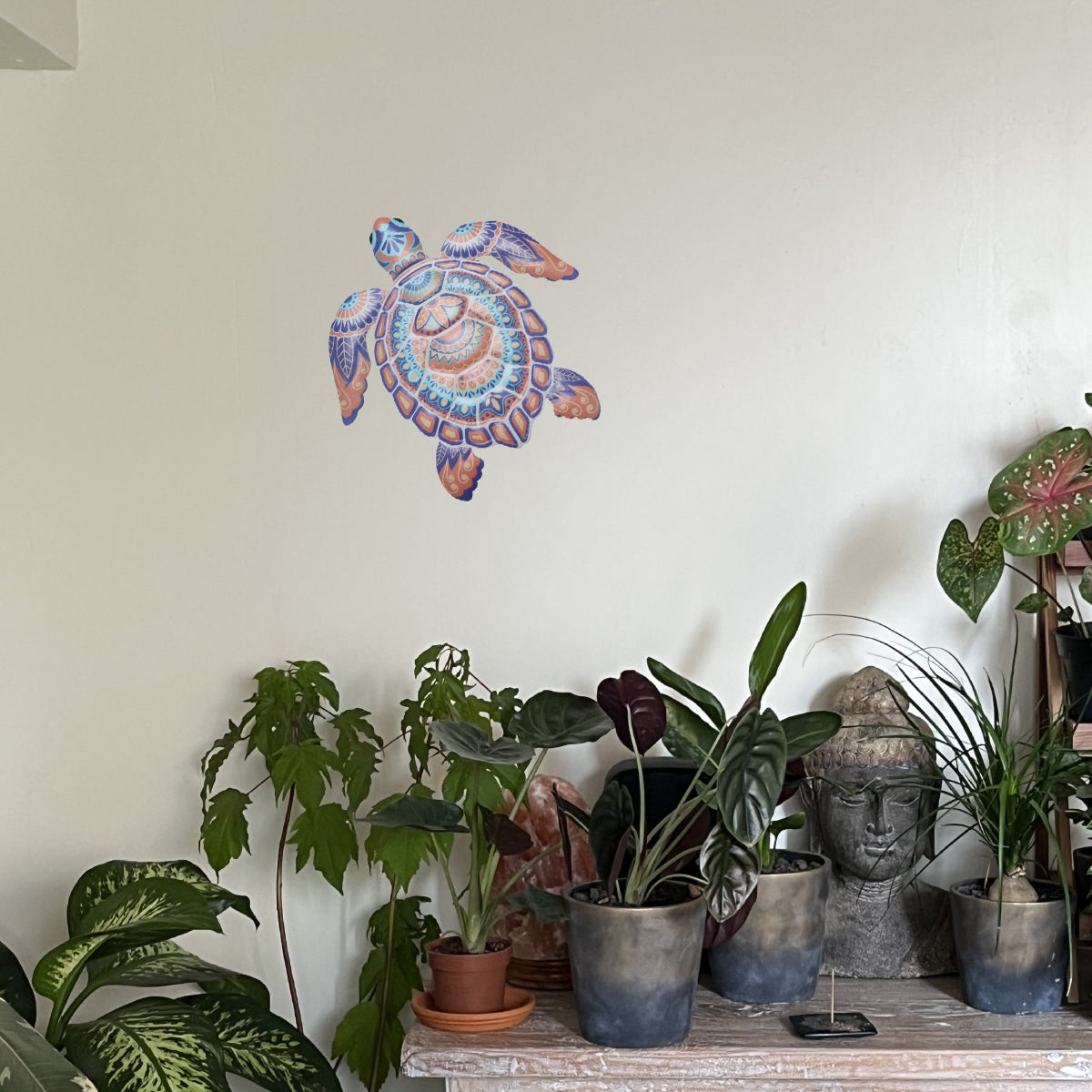 Tartaruga Signes Grimalt By Sigris - 2