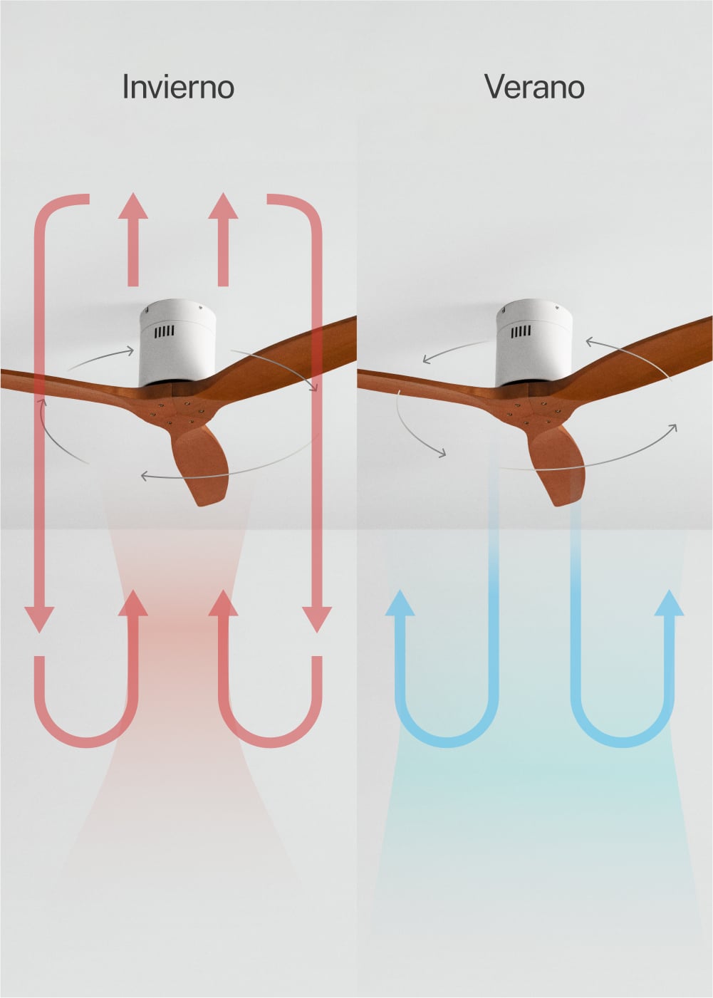 CREATE - WIND CALM M - Ventilateur de plafond silencieux 40W avec pales techniques en ABS Ø132cm sans eclaraige sans wifi - 6