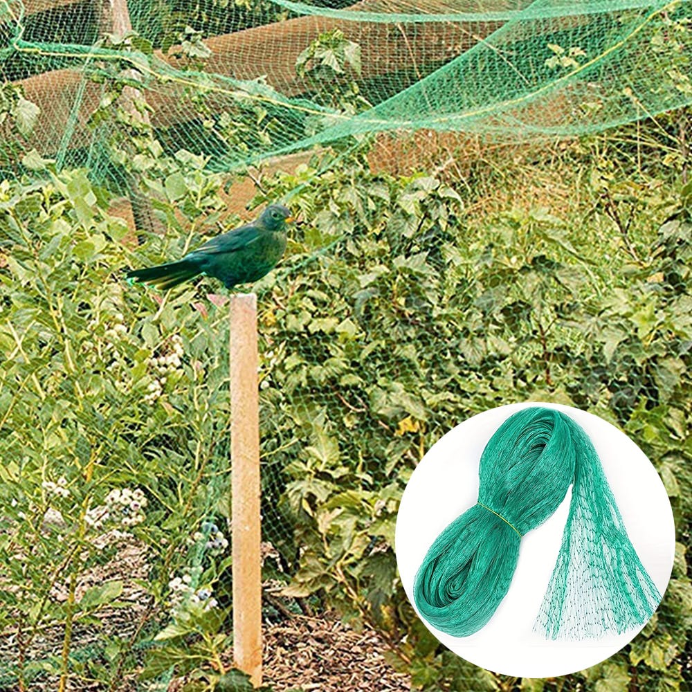 Due set di reti di protezione per alberi da frutto da 2 x 2,4 metri, con cerniera e maglia fine, ideali per proteggere pomodori, limoni, fragole e mir | Leroy Merlin Due set di reti di protezione per alberi da frutto da 2 x 2,4 metri, con cerniera e maglia fine, ideali per proteggere pomodori, limoni, fragole e mir | Leroy Merlin