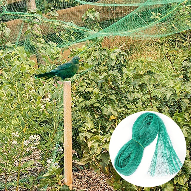 Rede anti-pássaros para jardim, rede anti-pássaros para pomar, rede em rede de polietileno, com 2 metros de largura e 10 metros de comprimento