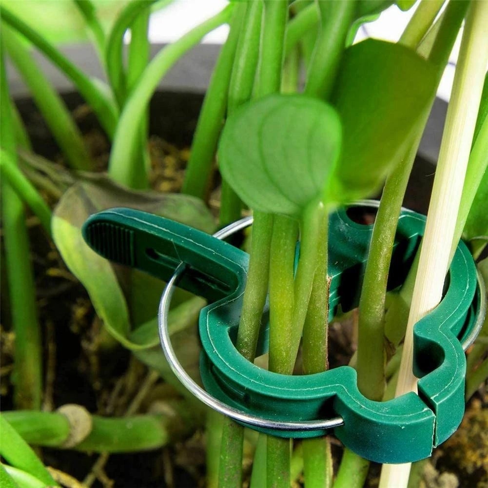 100pcs clips de support de plantes pour fleurs et vignes, clips de support de plantes de tomates, petits et grands clips de jardinage - 5