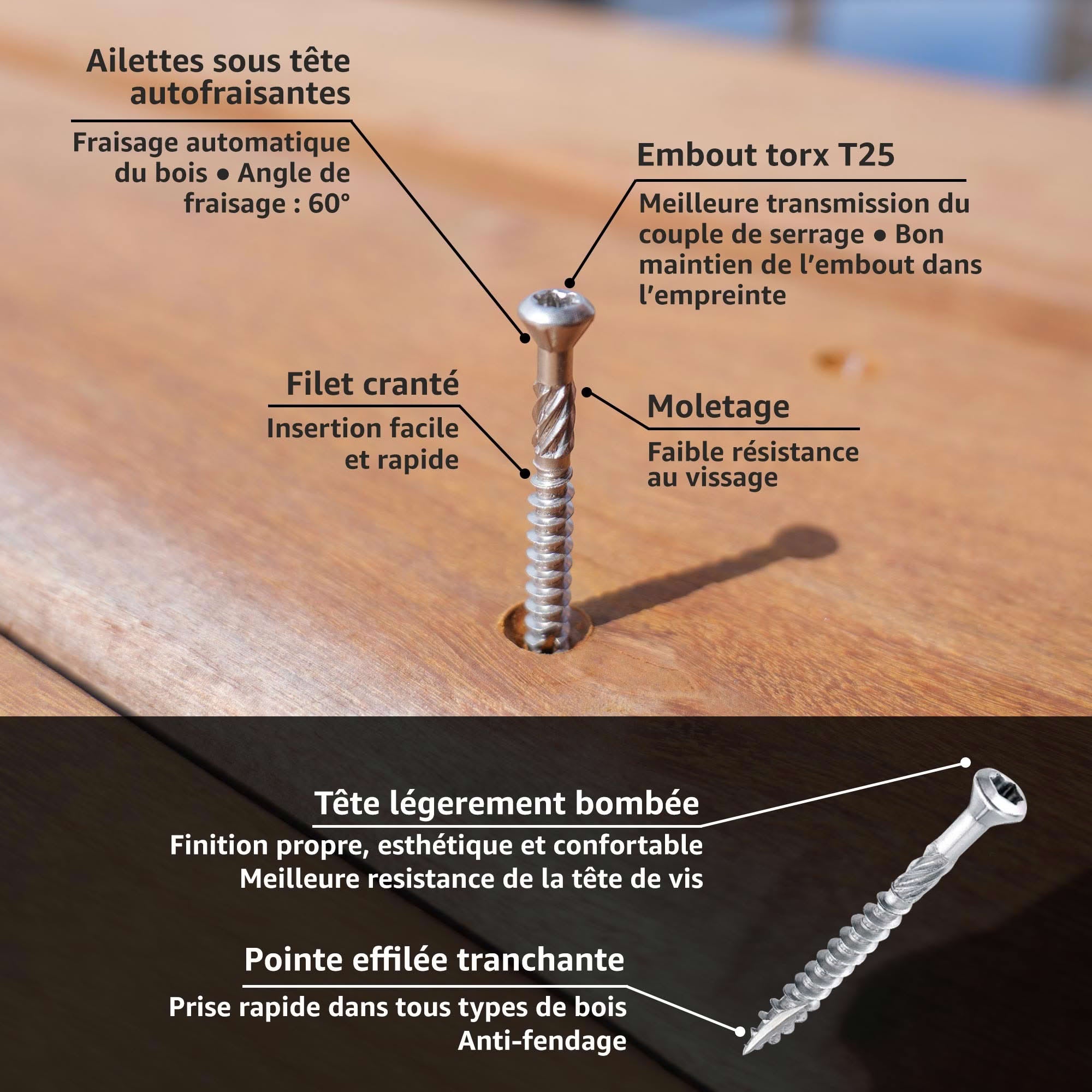 Lot de 400 vis terrasse en Inox A2 - Empreinte Torx 25 à tête réduite crantée - Diamètre 5mm - Longueur 60 mm - Diamètre 5 mm - 5