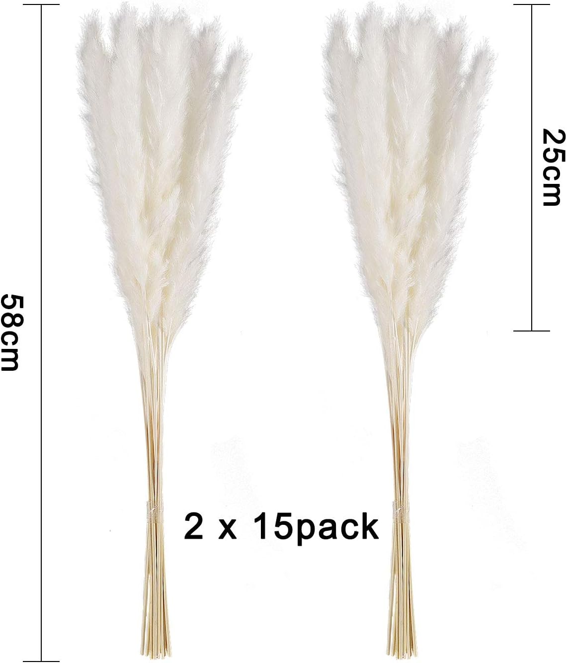 30 pcs Herbe de la Pampa, 45 cm Naturel Pampa Fleur Bouquet de Fleurs Sechees pour Vases, Blanc Boho Decoration Chambre Maison Salon - 7