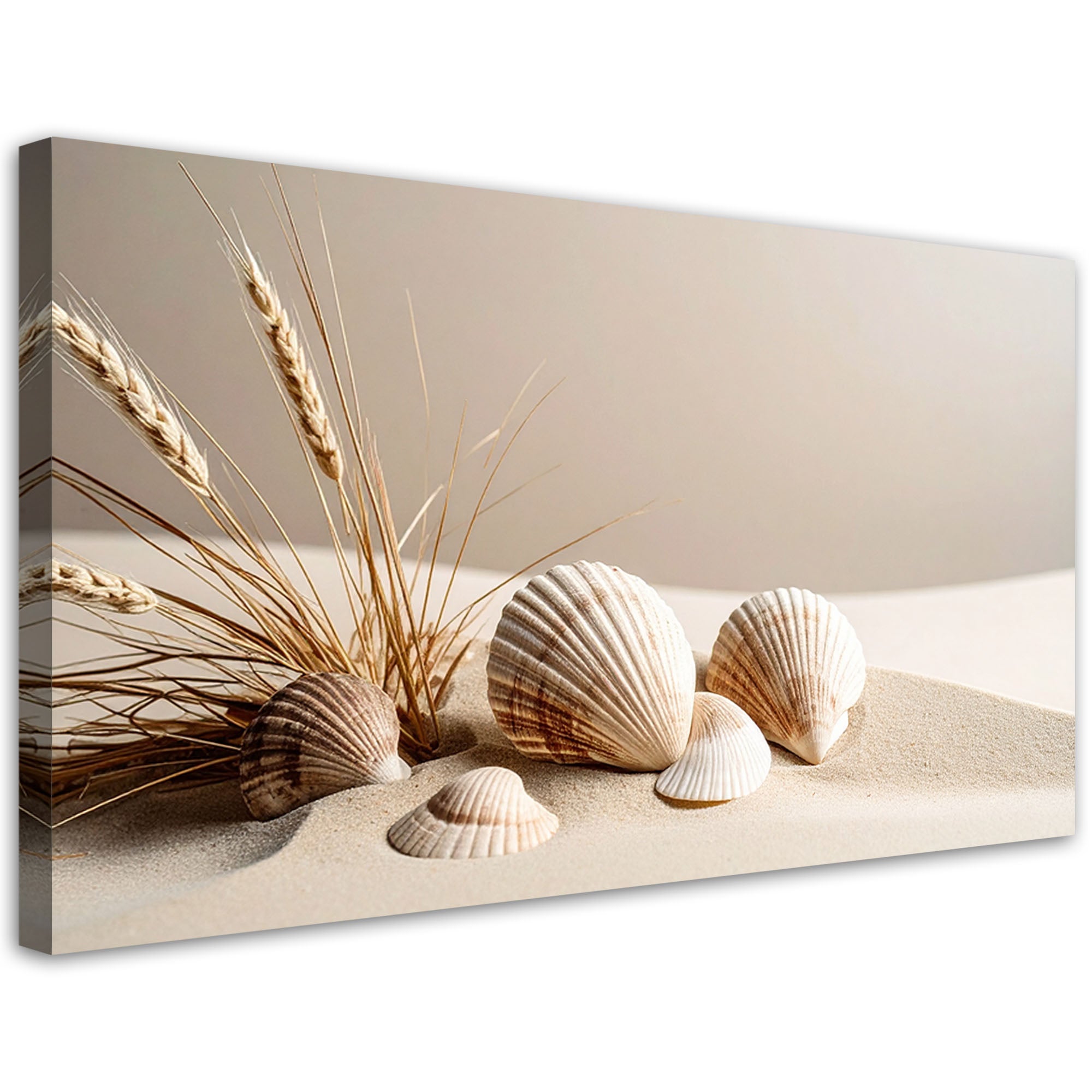 Obraz do salonu kuchni biura, Muszle piasek martwa natura boho 120x60