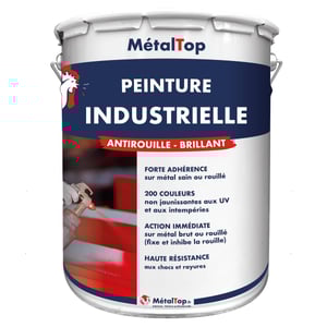 Peinture Sol Ciment Metaltop Jaune sable RAL 1002 Pot 5L