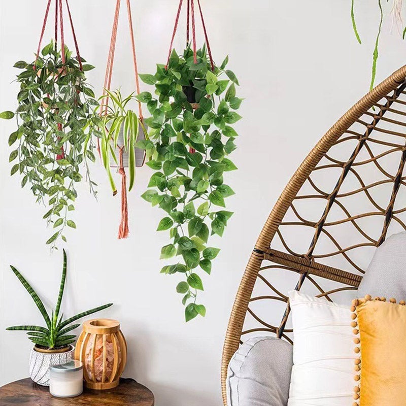 4 Plantes Artificielles Suspendues Résistantes aux UV - Décoration Murale Moderne pour Maison, Bureau | Faux Plantes en Pot pour Intérieur/Extérieur - 5