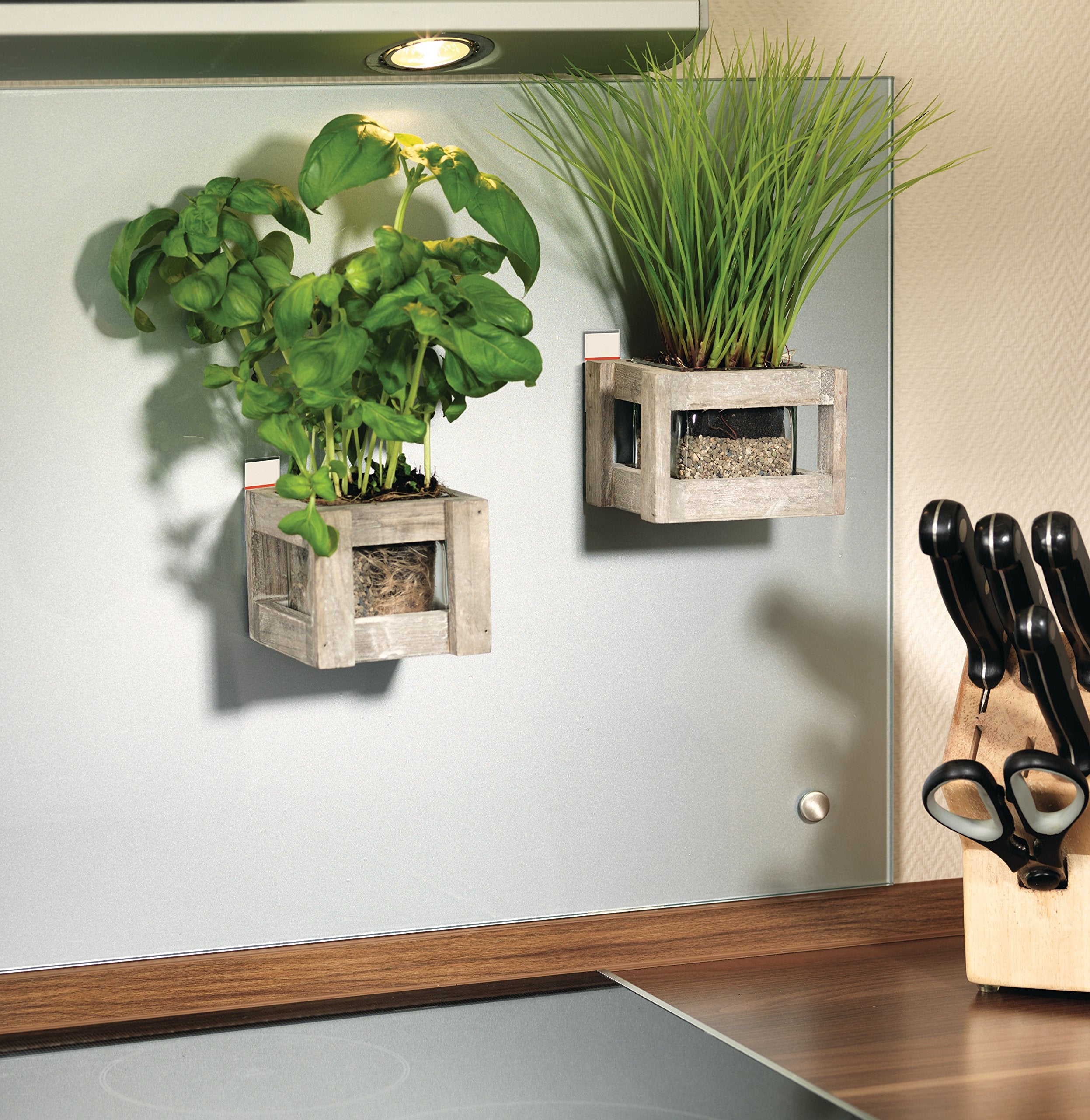 Blister de 10 grandes bandes adhésives 2 kg 58060 Tesa - 3