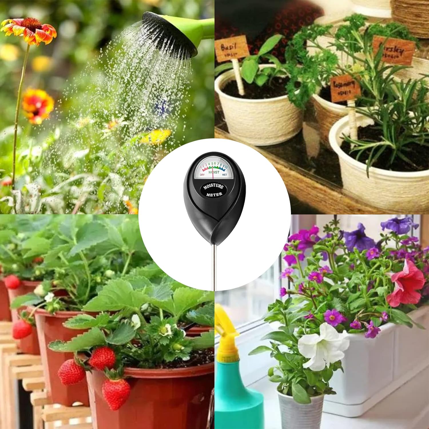 2 Humidimètre de sol, moniteur d'eau des plantes, capteur d'hygromètre de sol pour l'entretien des plantes, idéal pour le jardinage et la pelouse - 5