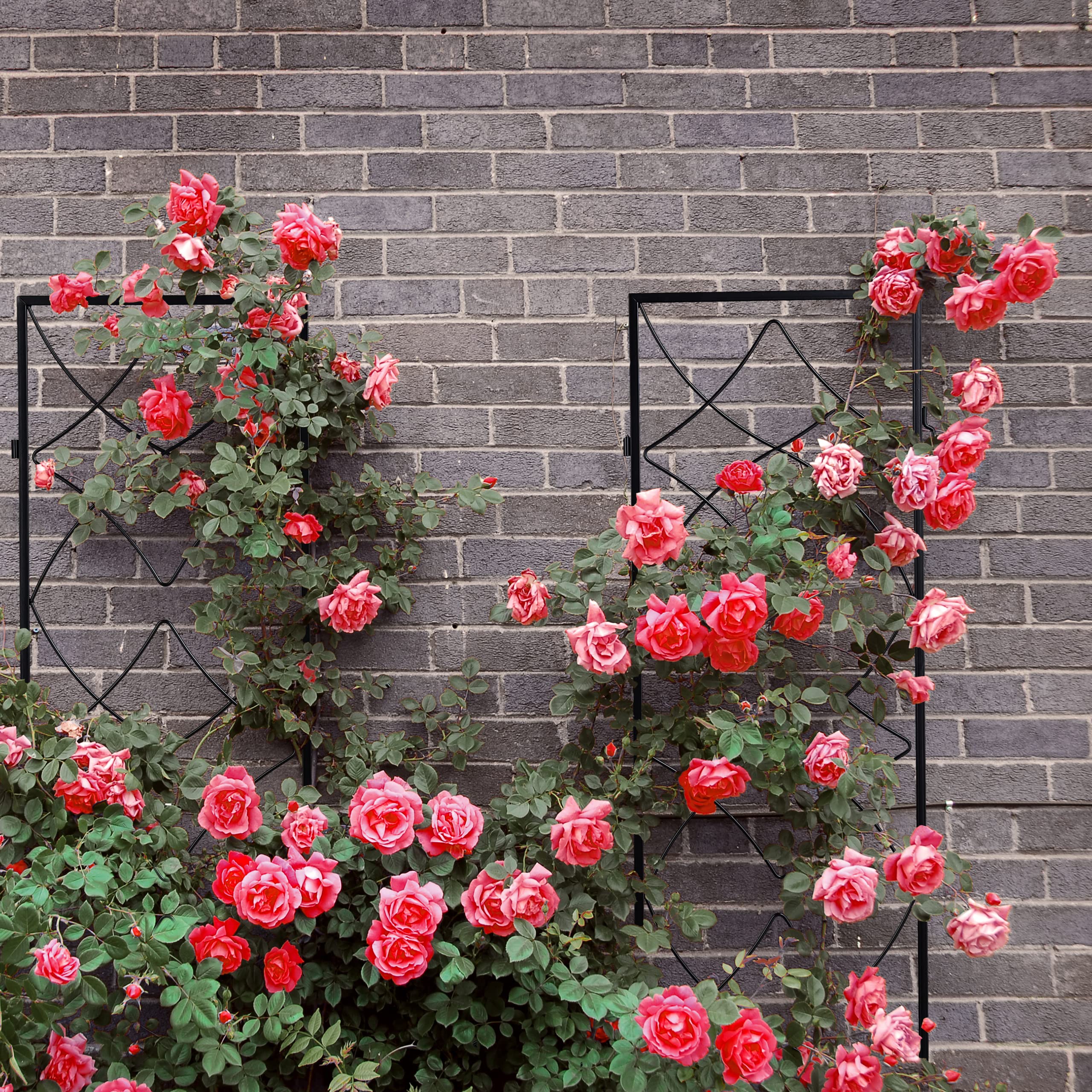 treillis de jardin, métal, lot de 3, à planter, support pour plantes grimpantes, 122x31 cm, jardin, noir, Relaxdays - 9