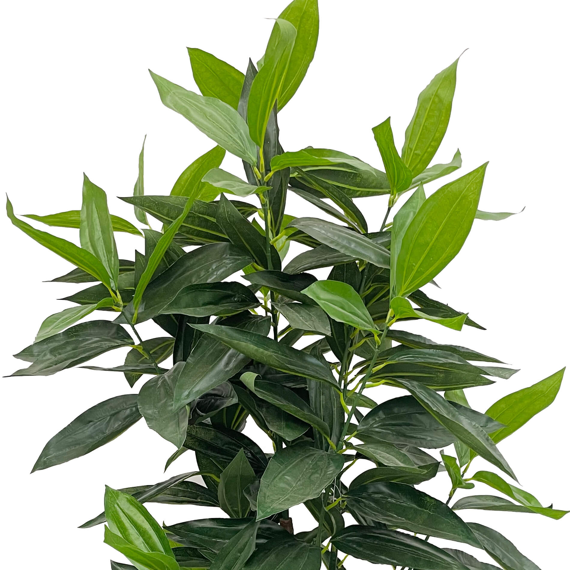 Planta artificial de Casia Rebecca Mobili Kori 145x40x40 PEVA Madera Verde Marrón - 4