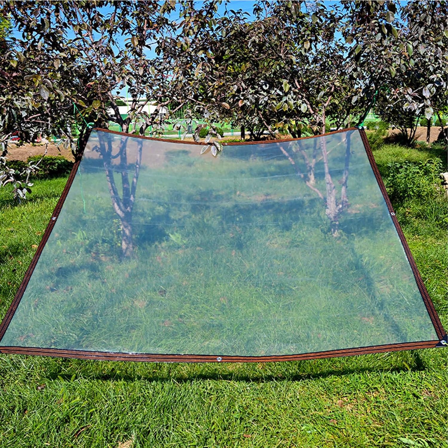 Bâche Transparente étanche 2x3 M - PVC Avec œillets, Pour Serre, Protection Extérieure, Animaux, Camping