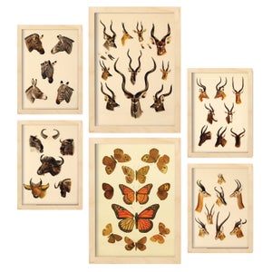 3 pezzi Poster e stampe di paesaggi marini naturali con piante di cactus, arte da parete, stile nordico, ptura su tela moderna, regalo ideale per la decorazione della casa, la camera da