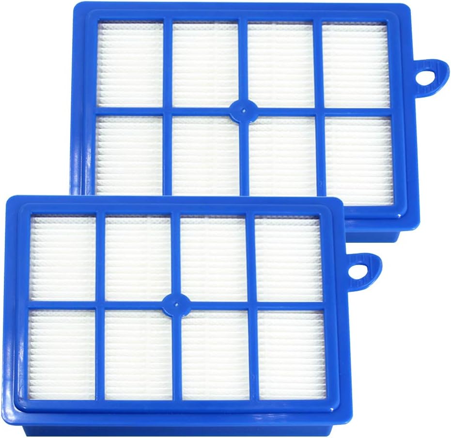 Opakowanie 2 filtrów zamiennych do odkurzaczy Electrolux PHILIPS