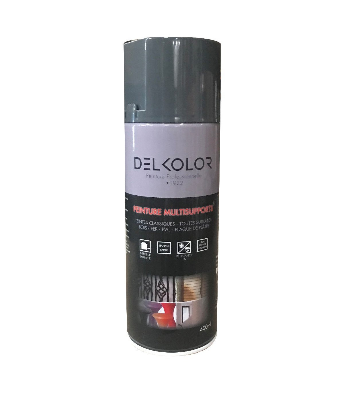 Delkolor Peinture en Arosol - Couleurs RAL - 400ml (RAL 7011 GRIS FER ...