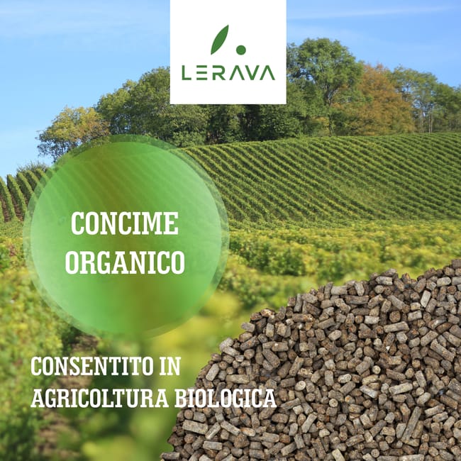 Ferro Chelato LERAVA 200g - Concime Rinverdente Per Carenza Di Ferro Nelle Piante - Foto 11