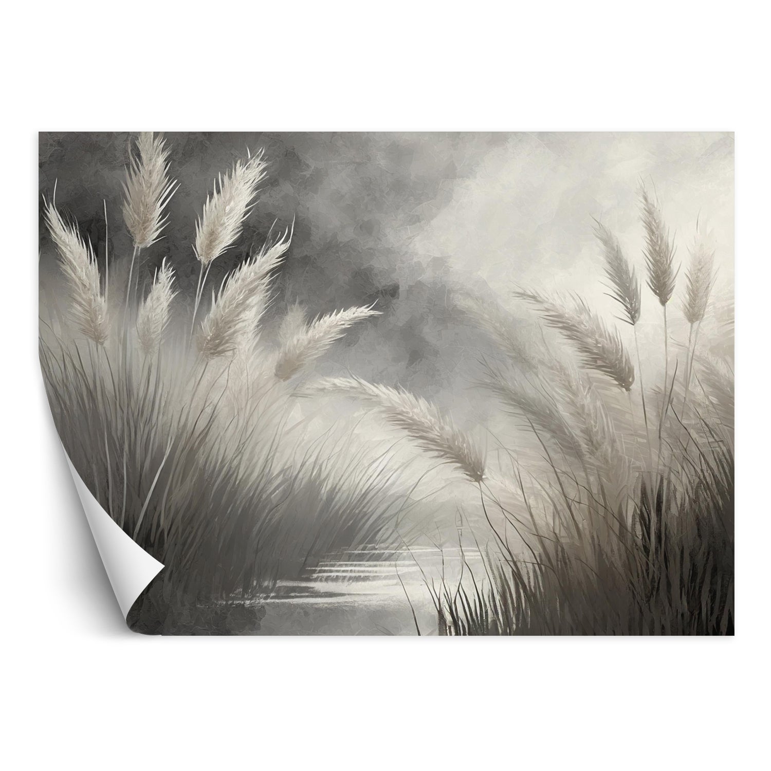 Fototapeta, Trawa trzcinowa Przyroda Botanika 150x105