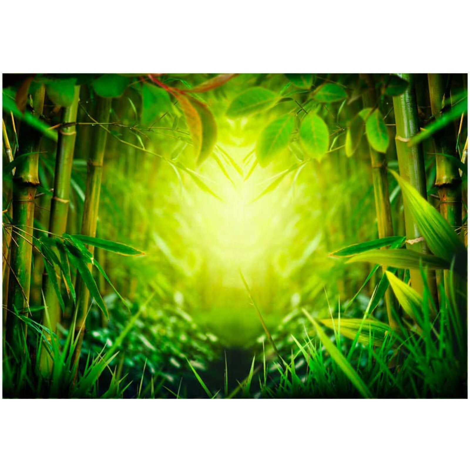 Papier peint fée de la forêt - 150 x 105 cm - 2